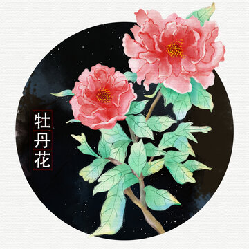 手绘水彩牡丹花小清新插画