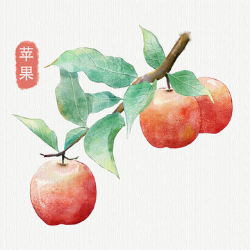 手绘苹果水果插画