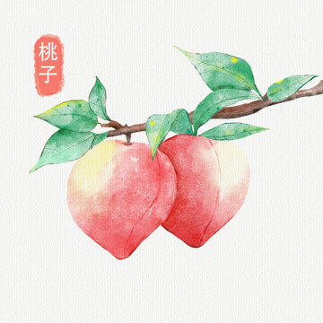水彩手繪桃子水果插畫