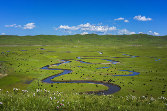 曼扎塘湿地