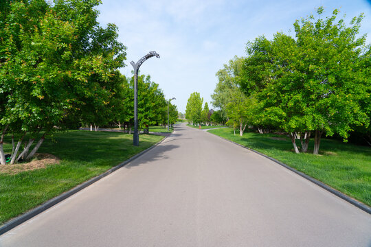 公园道路林荫路