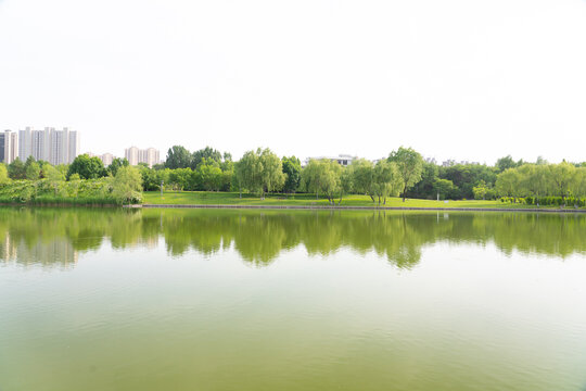 公园湖泊绿树