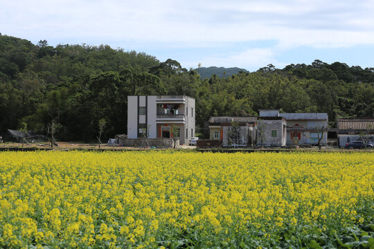 山川田野