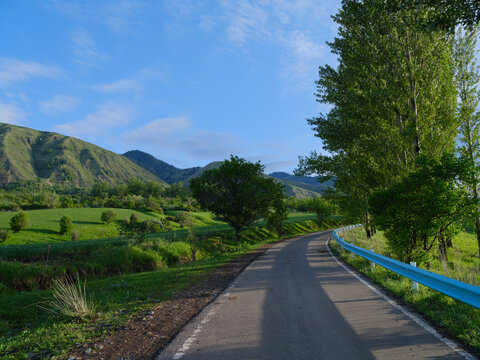 林中小路