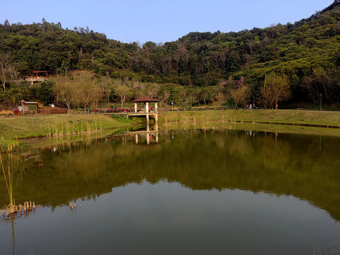 深圳光明罗田公园风光