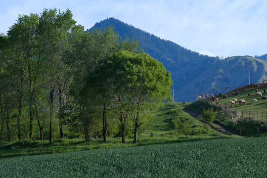 美丽山村