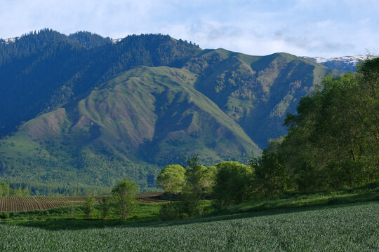 美丽山村