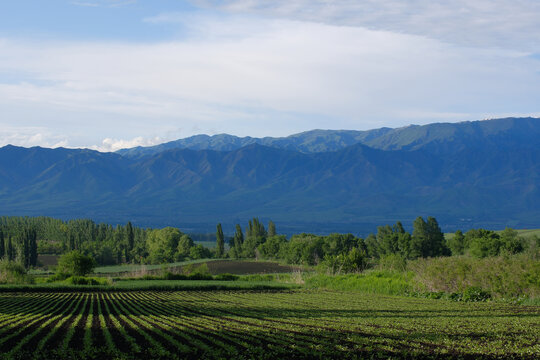 美丽山村