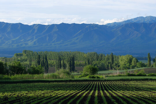 美丽山村