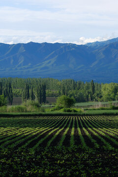 美丽山村