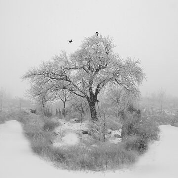 瑞雪迎春图