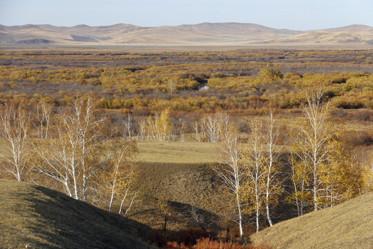 秋天内蒙古美丽的大草原