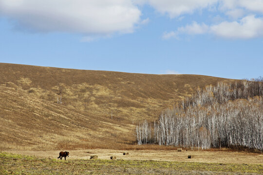 内蒙古旅游风景图