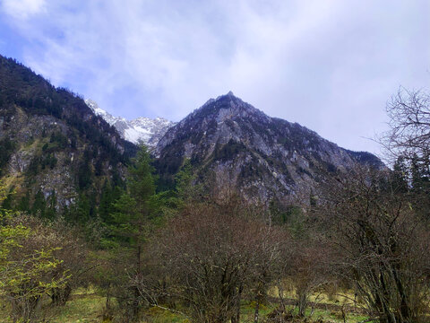 森林雪山