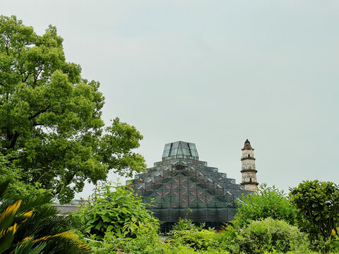 绍兴城市广场和大善塔