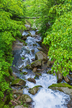 黄山山涧小溪