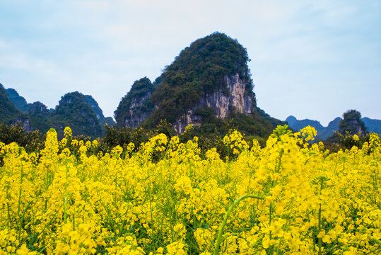 山村风景