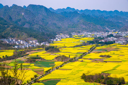 田园人家