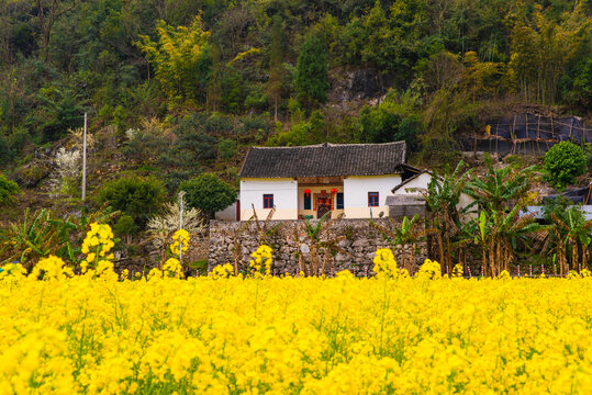 山村风景