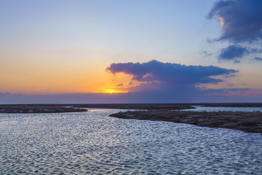 黄河口湿地晨景