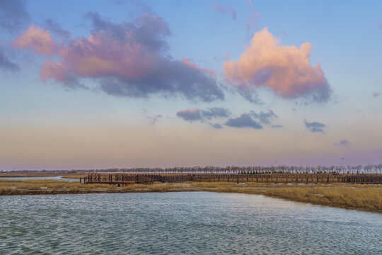 黄河口湿地晨景