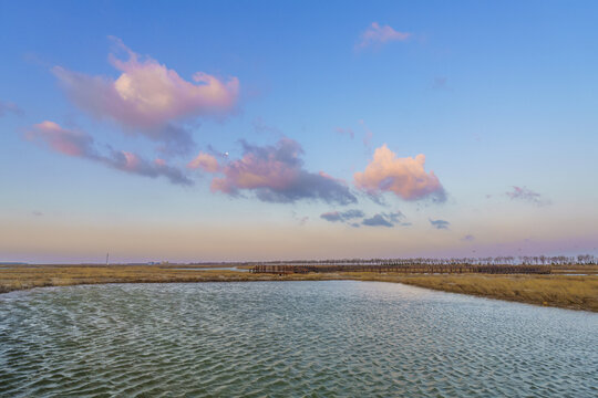 黄河口湿地晨景