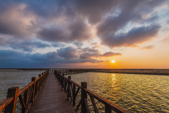 黄河口湿地晨景