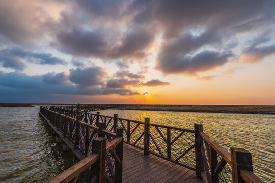 黄河口湿地晨景