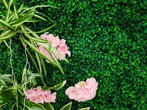 鲜花绿植背景墙