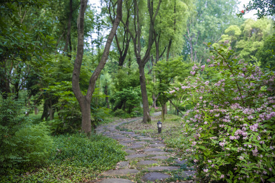 森林背景