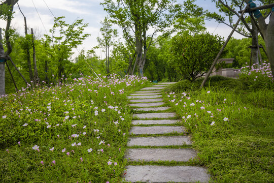 鲜花路径