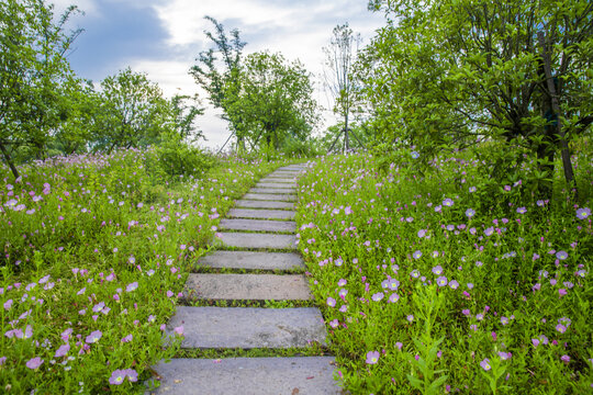 鲜花路径