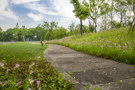 鲜花路径