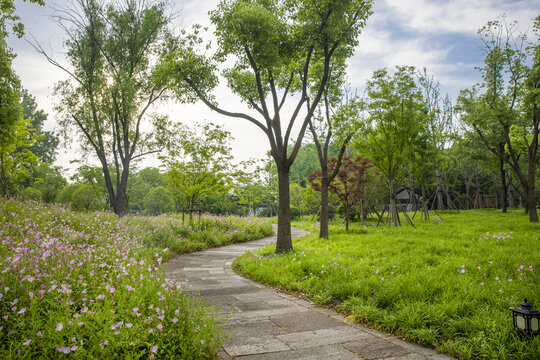 树林背景