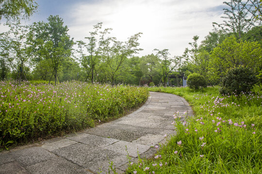 鲜花路径