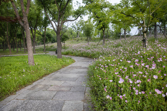 鲜花路径