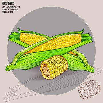 玉米插畫