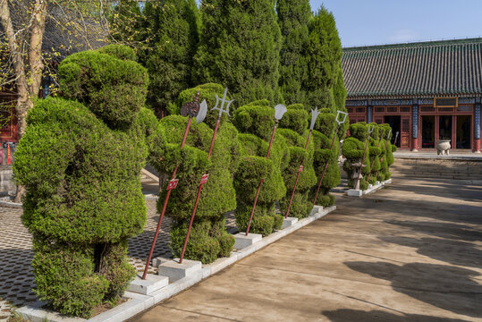 植物绿雕