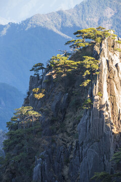 黄山群山风景