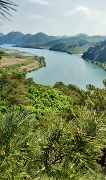 回龙湖