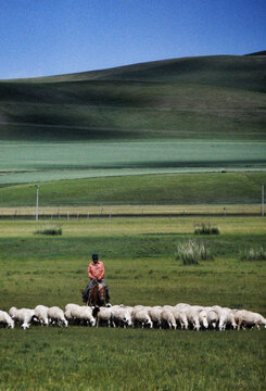 草原上的牧羊人