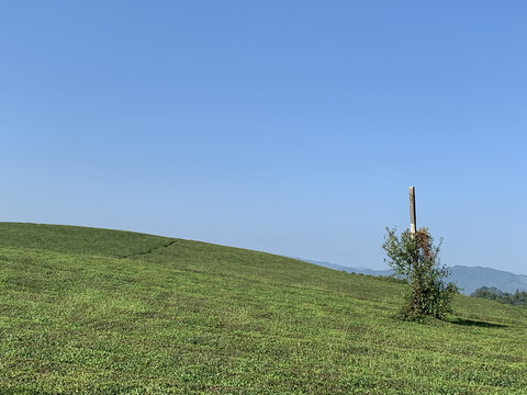 贵州遵义湄潭茶山风景