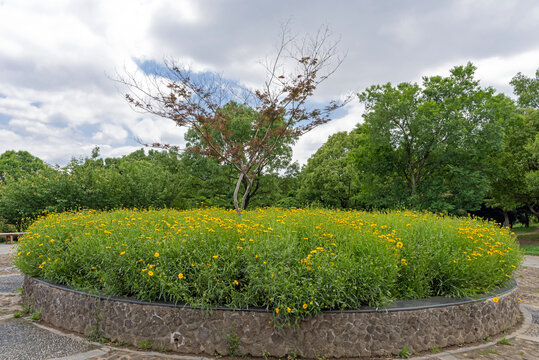 方山天印宫花园花坛