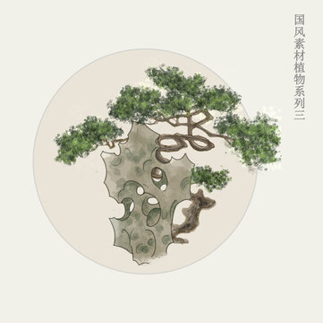 国画风植物松