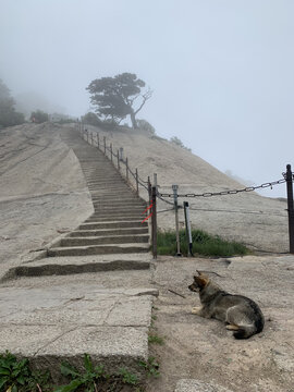 五岳西岳华山风光