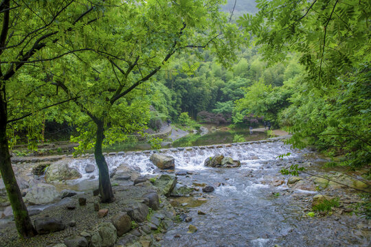 树林溪流背景