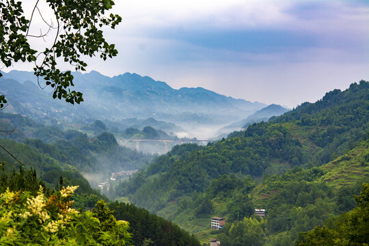 山中云雾