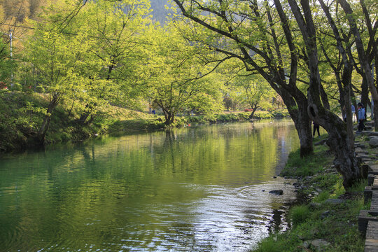 春天的小河边