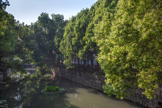 乌镇西栅景区