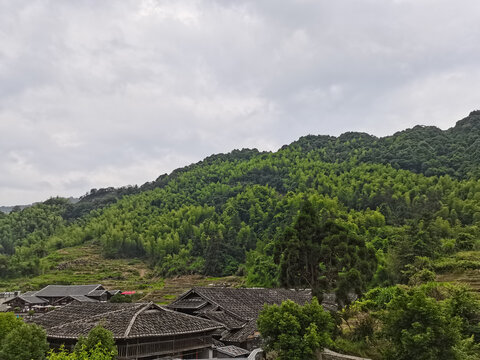 厝里举头望青山